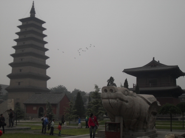 SDC18506 (640x480).jpg