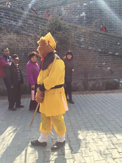 河北廊坊市香河庙会